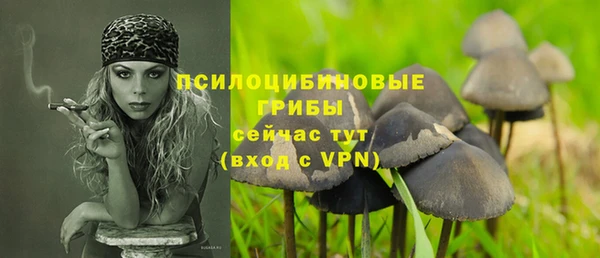 стаф Навашино