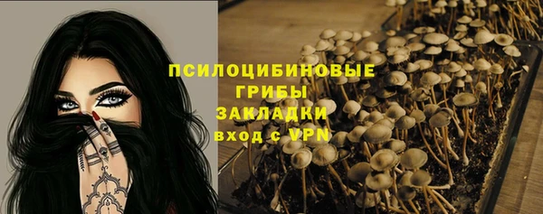 стаф Навашино
