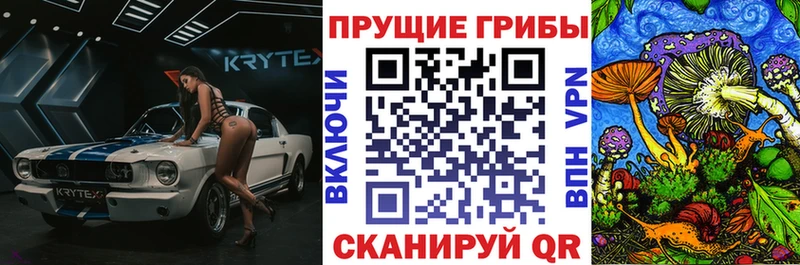 Купить закладки  Заринск  Псилоцибиновые грибы Psilocybe 
