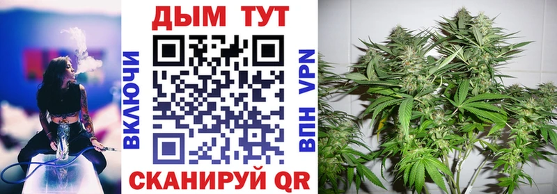 Марихуана ГИДРОПОН  Купить где  Заринск 